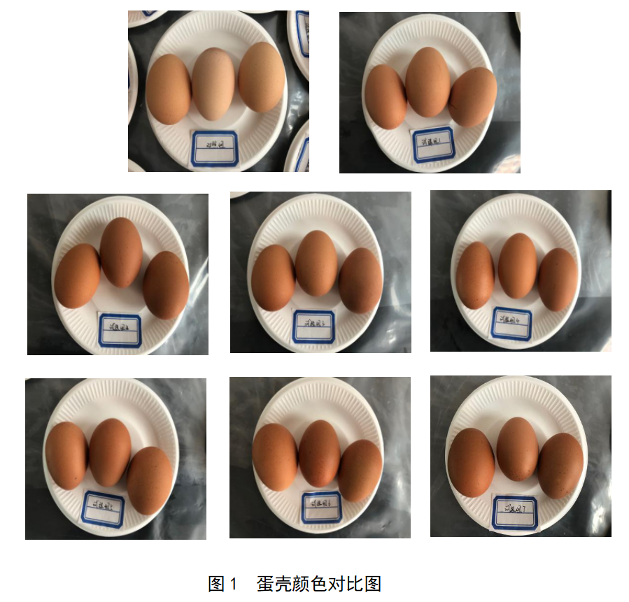 28圈(中国)官方网站