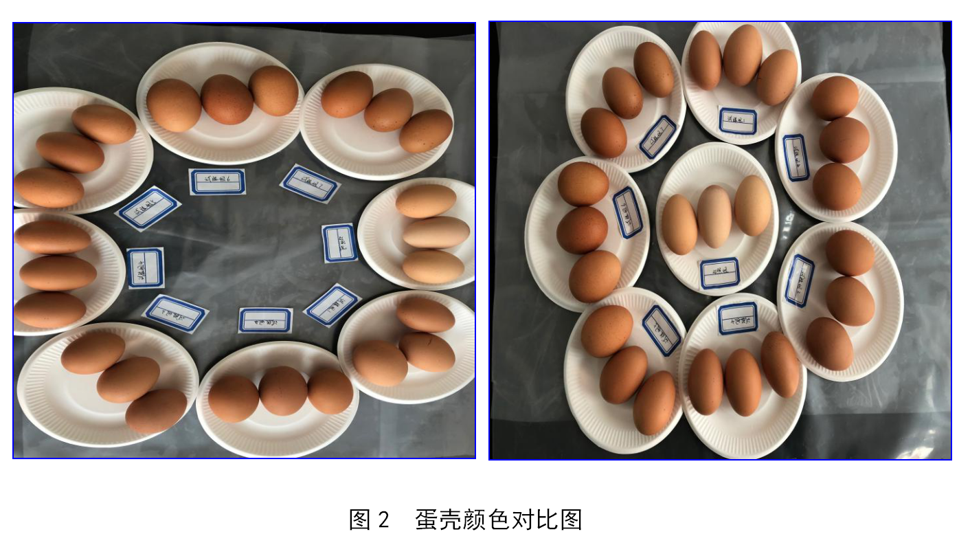 28圈(中国)官方网站